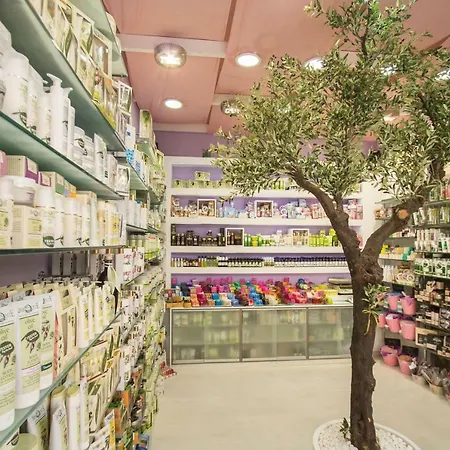 Mmebassia 3* Chania (Crete)